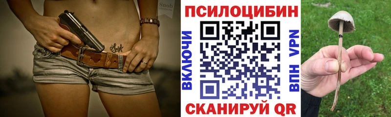 darknet какой сайт  Новозыбков  Галлюциногенные грибы прущие грибы  где найти наркотики 